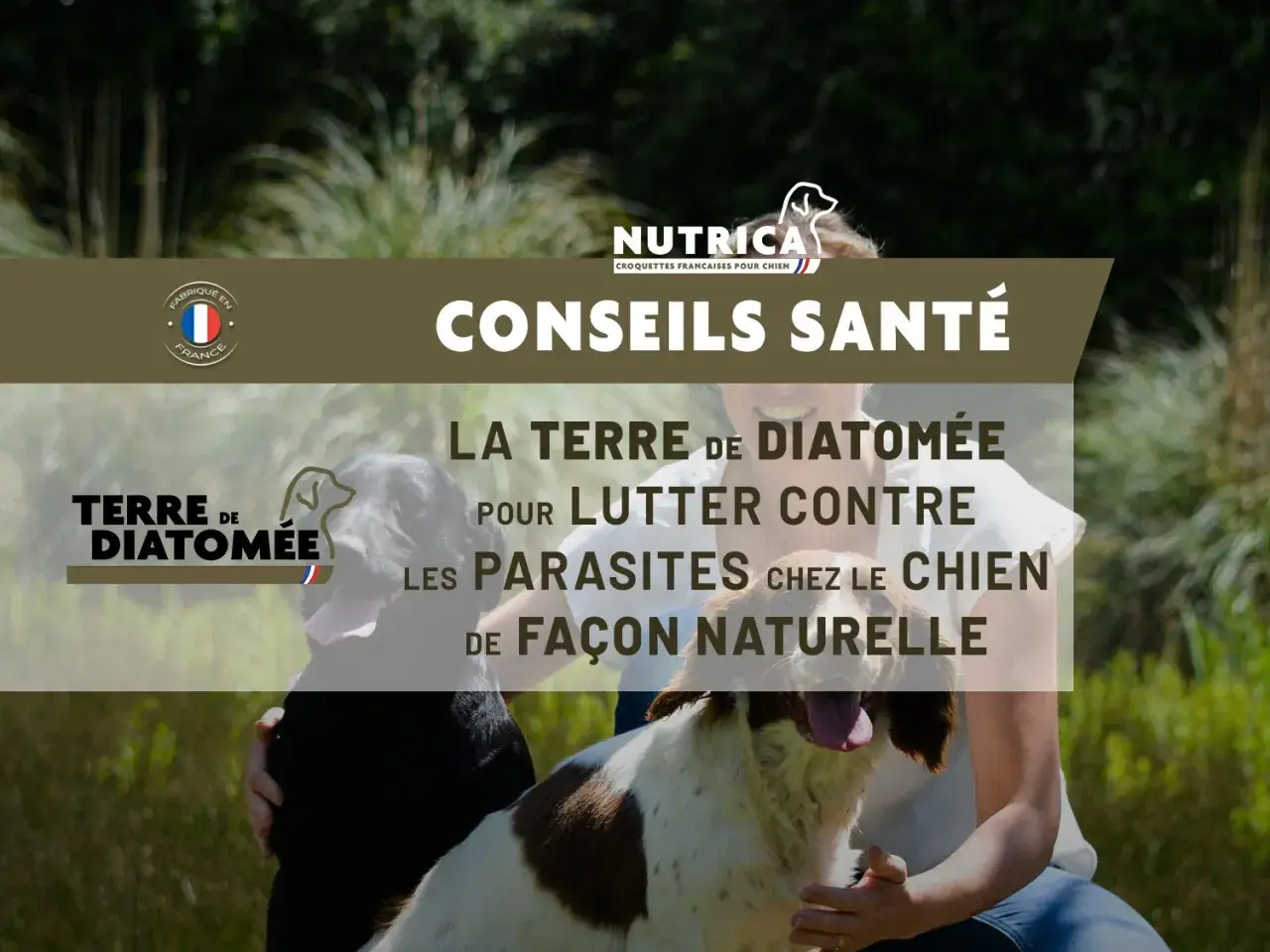 Conseils santé : la terre de diatomée pour lutter naturellement contre les parasites chez le chien. Fabriqué en France.