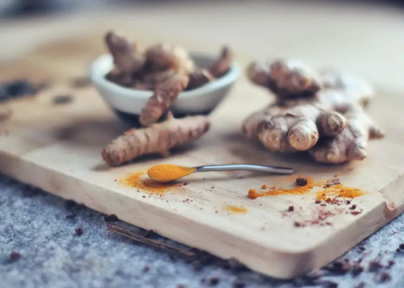 Curcuma fraîche et en poudre sur une cuillère, prête pour le dosage. Idéal pour le bien-être de votre chien.